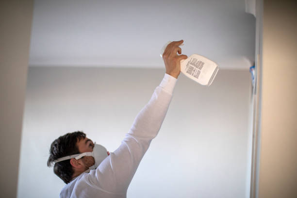 Professional Mold Remediation in Prospect Park, NJ